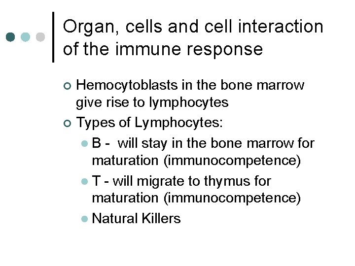 Organ, cells and cell interaction of the immune response Hemocytoblasts in the bone marrow