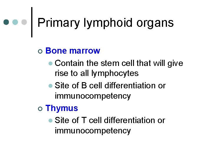Primary lymphoid organs Bone marrow l Contain the stem cell that will give rise