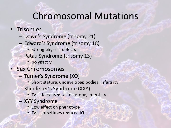 Chromosomal Mutations • Trisomies – Down’s Syndrome (trisomy 21) – Edward’s Syndrome (trisomy 18)