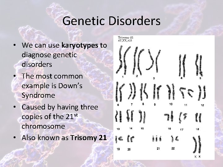 Genetic Disorders • We can use karyotypes to diagnose genetic disorders • The most