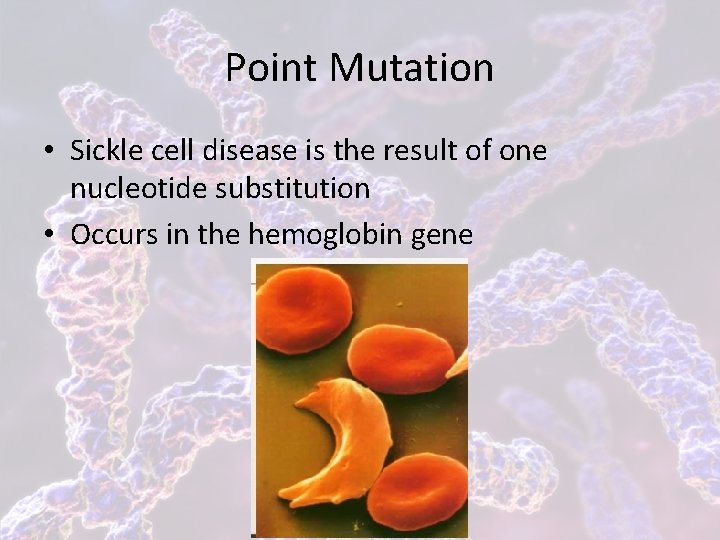 Point Mutation • Sickle cell disease is the result of one nucleotide substitution •