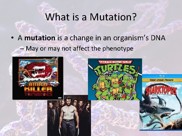 What is a Mutation? • A mutation is a change in an organism’s DNA