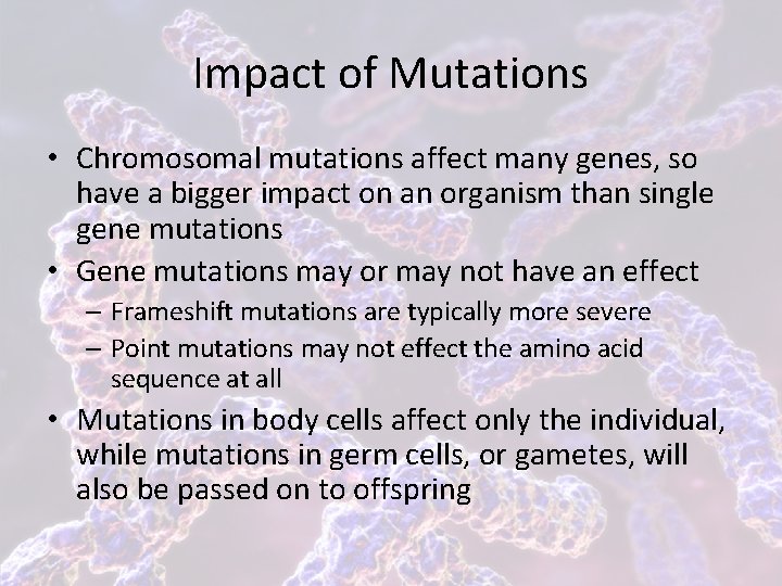 Impact of Mutations • Chromosomal mutations affect many genes, so have a bigger impact