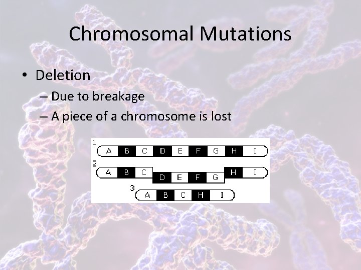 Chromosomal Mutations • Deletion – Due to breakage – A piece of a chromosome
