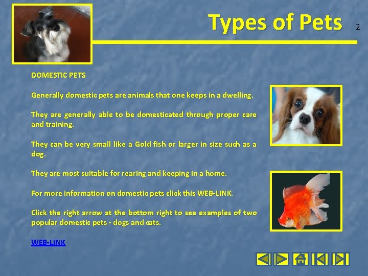 Types of Pets DOMESTIC PETS Generally domestic pets are animals that one keeps in