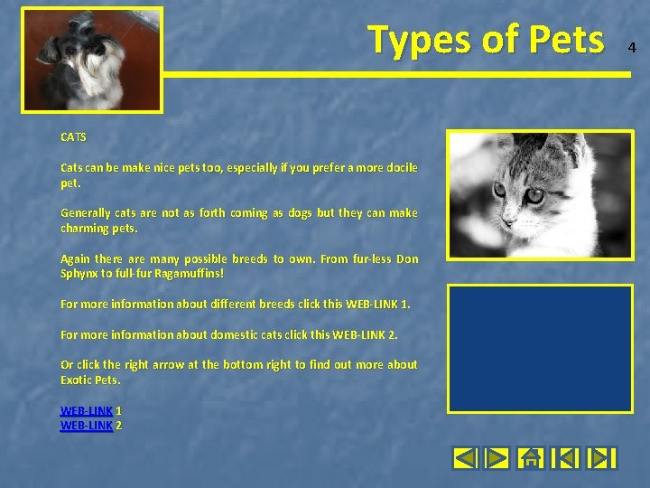 Types of Pets CATS Cats can be make nice pets too, especially if you