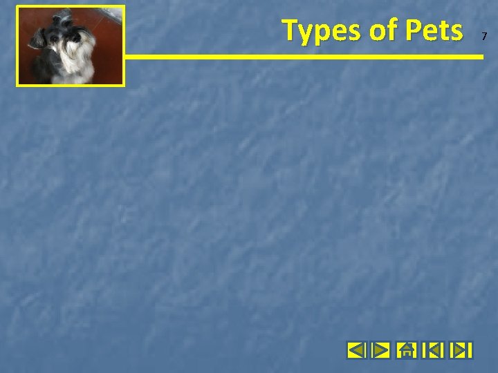 Types of Pets 7 
