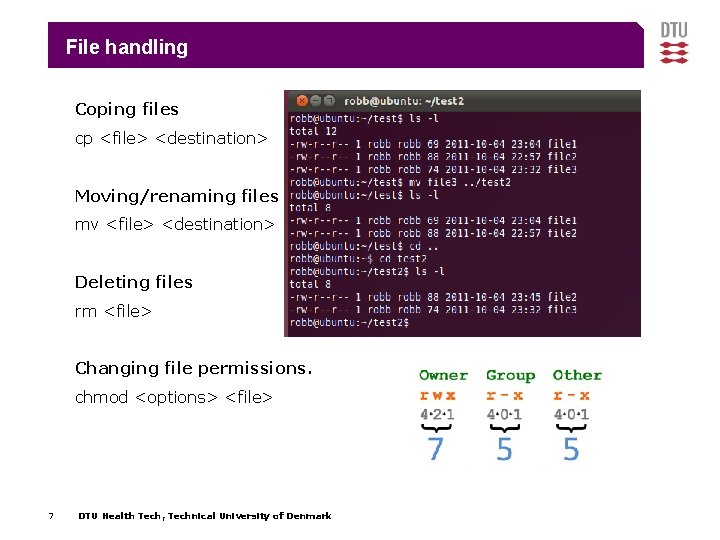 File handling Coping files cp <file> <destination> Moving/renaming files mv <file> <destination> Deleting files