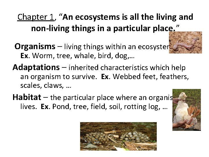 Chapter 1, “An ecosystems is all the living and non-living things in a particular