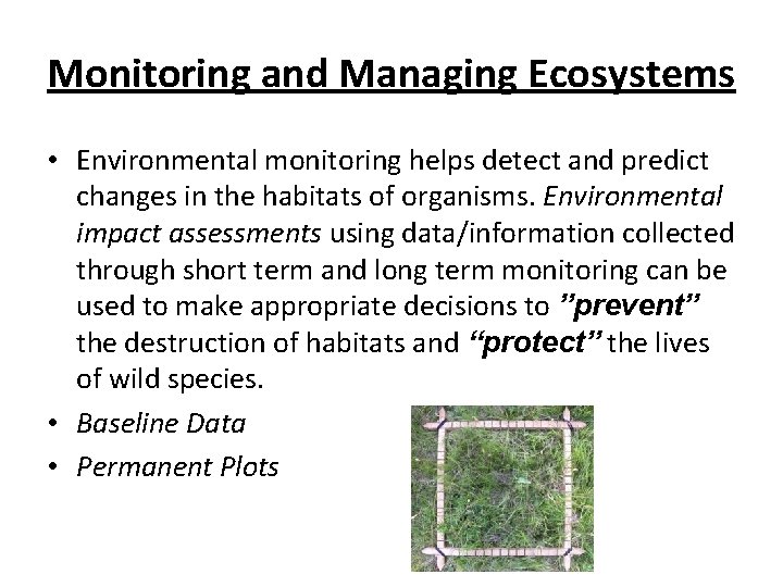 Monitoring and Managing Ecosystems • Environmental monitoring helps detect and predict changes in the