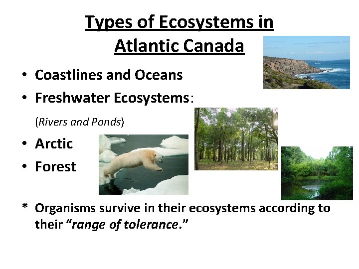 Types of Ecosystems in Atlantic Canada • Coastlines and Oceans • Freshwater Ecosystems: (Rivers