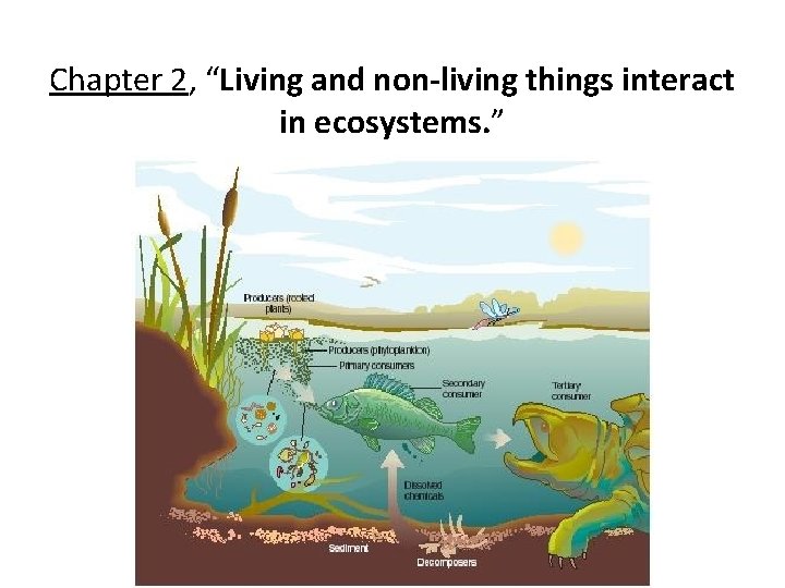 Chapter 2, “Living and non-living things interact in ecosystems. ” 