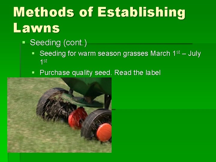 Methods of Establishing Lawns § Seeding (cont. ) § Seeding for warm season grasses