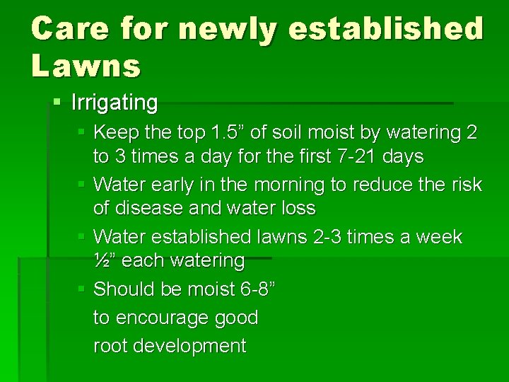 Care for newly established Lawns § Irrigating § Keep the top 1. 5” of