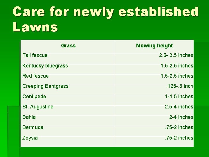 Care for newly established Lawns Grass Mowing height Tall fescue 2. 5 - 3.