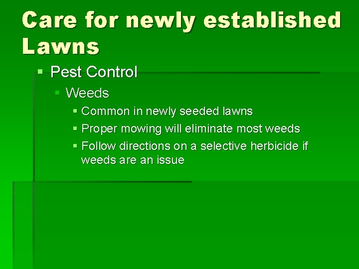 Care for newly established Lawns § Pest Control § Weeds § Common in newly