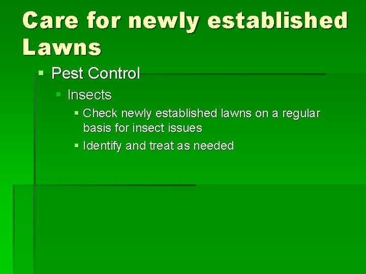 Care for newly established Lawns § Pest Control § Insects § Check newly established