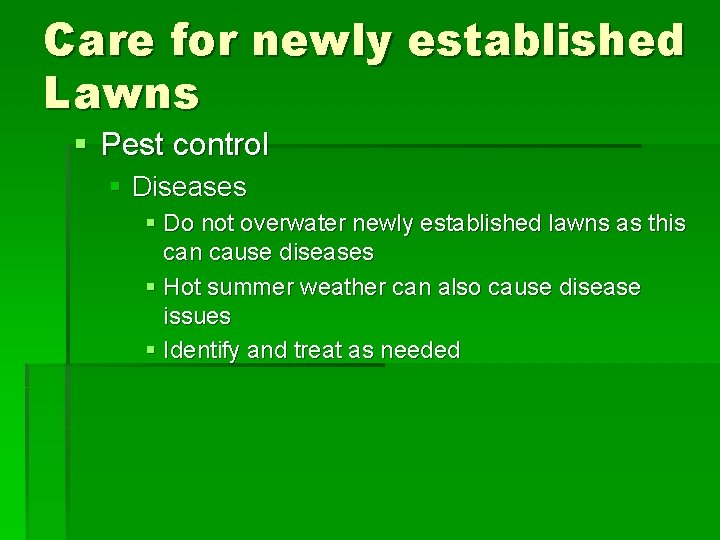 Care for newly established Lawns § Pest control § Diseases § Do not overwater
