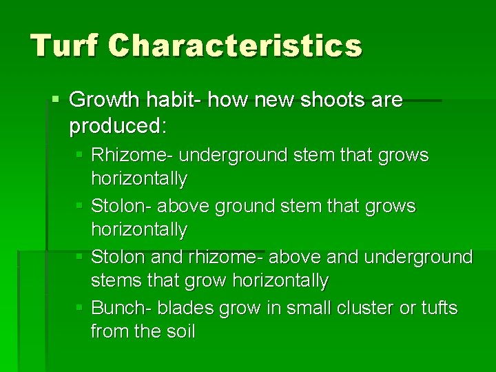 Turf Characteristics § Growth habit- how new shoots are produced: § Rhizome- underground stem