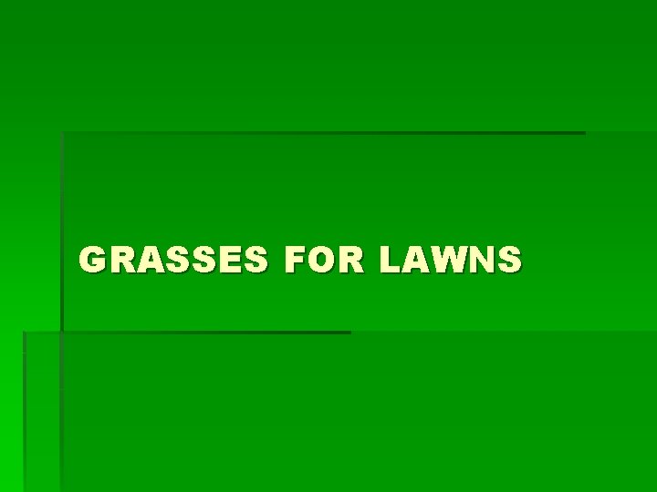GRASSES FOR LAWNS 