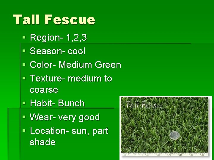 Tall Fescue § § § § Region- 1, 2, 3 Season- cool Color- Medium