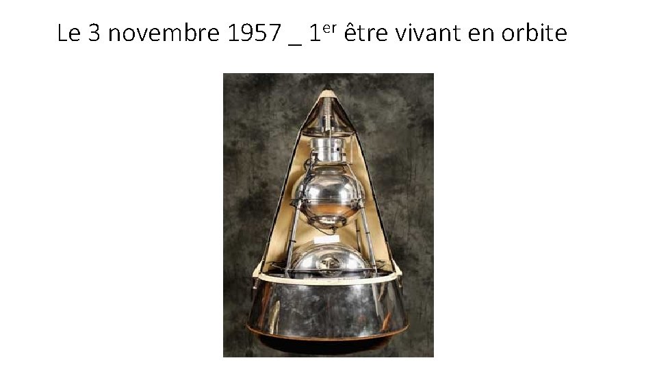 Le 3 novembre 1957 _ 1 er être vivant en orbite 