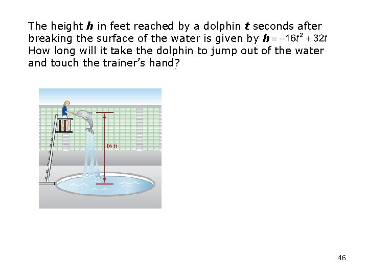 The height h in feet reached by a dolphin t seconds after breaking the