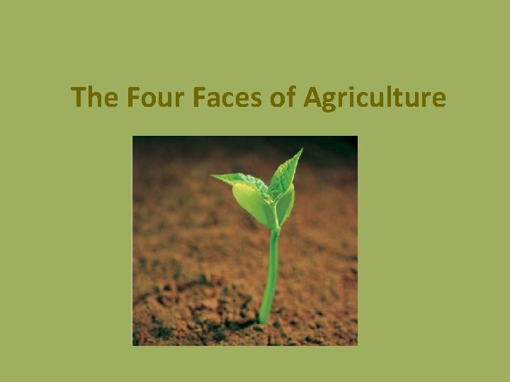 The Four Faces of Agriculture 