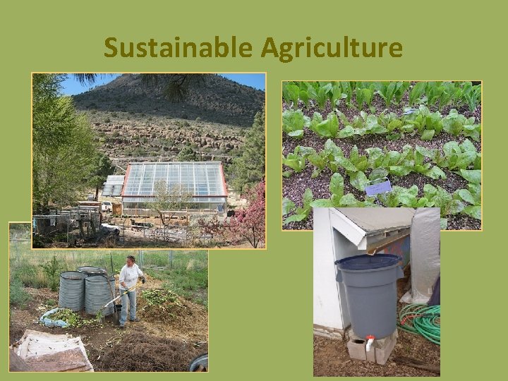Sustainable Agriculture 
