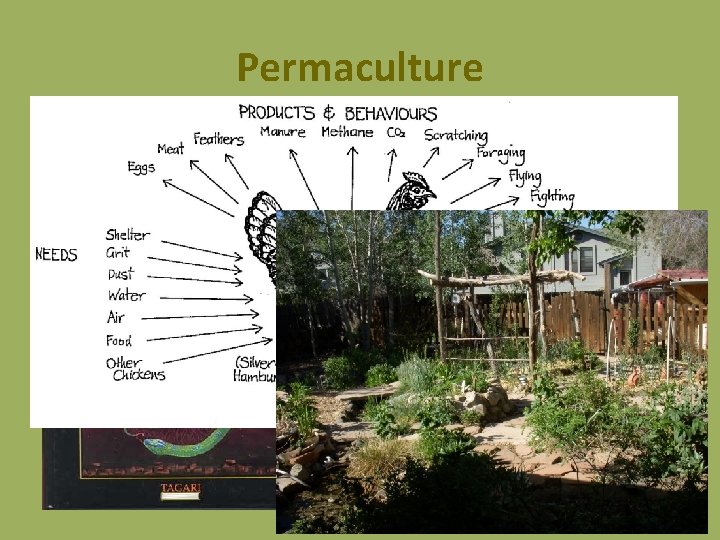 Permaculture 