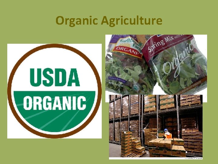 Organic Agriculture 