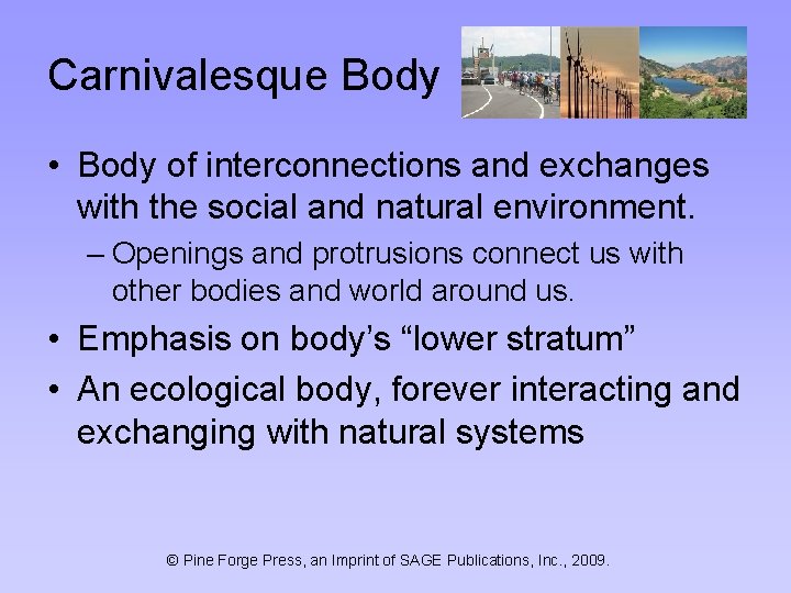 Carnivalesque Body • Body of interconnections and exchanges with the social and natural environment.