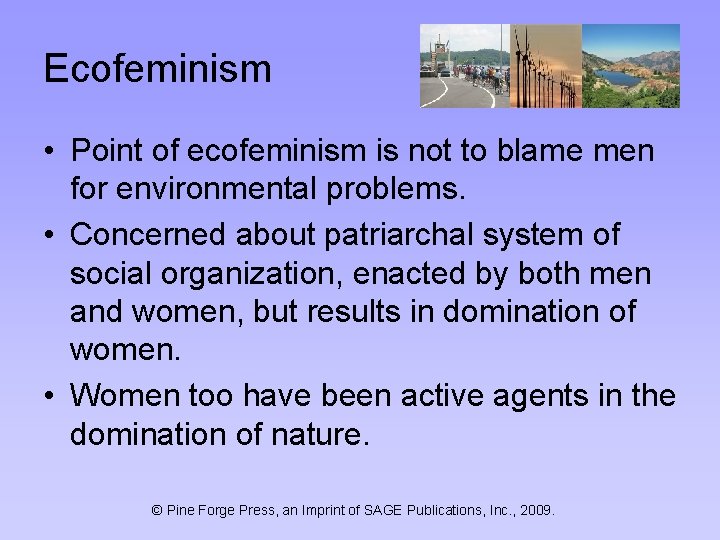 Ecofeminism • Point of ecofeminism is not to blame men for environmental problems. •