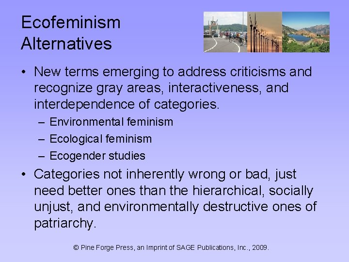 Ecofeminism Alternatives • New terms emerging to address criticisms and recognize gray areas, interactiveness,