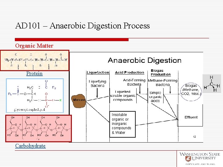 AD 101 – Anaerobic Digestion Process Organic Matter Protein Insoluble organic or inorganic compounds