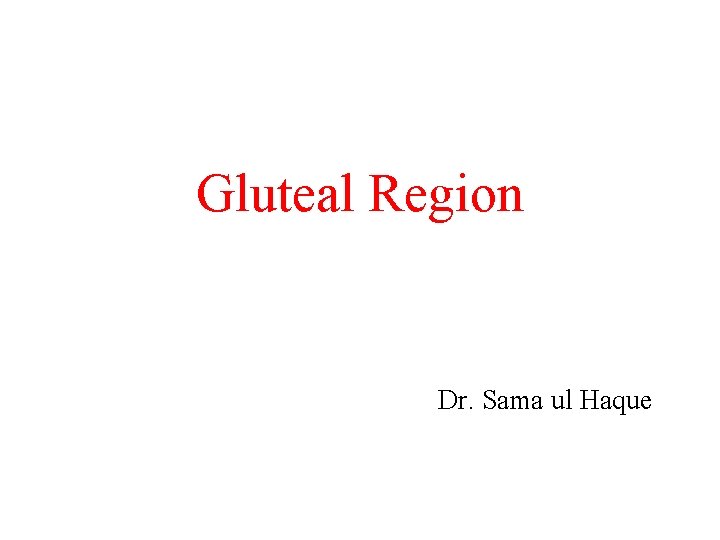 Gluteal Region Dr. Sama ul Haque 