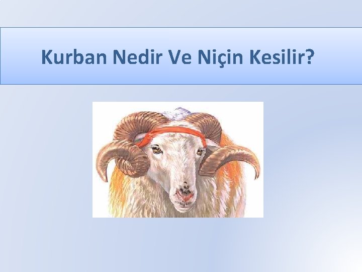 Kurban Nedir Ve Niçin Kesilir? 