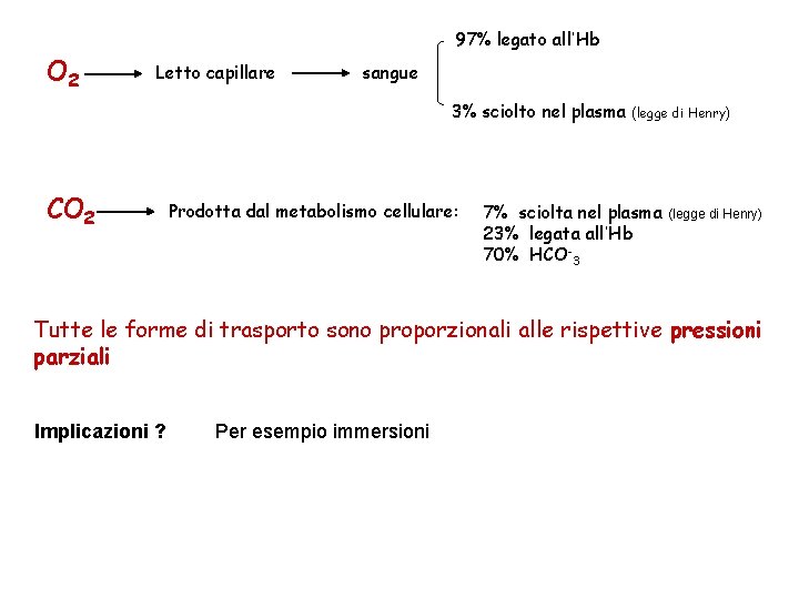 O 2 97% legato all’Hb Letto capillare sangue 3% sciolto nel plasma CO 2