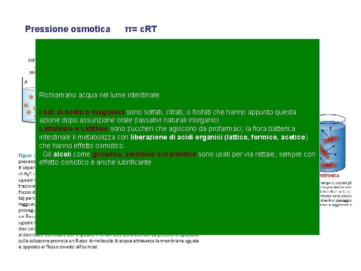 Pressione osmotica π= c. RT Richiamano acqua nel lume intestinale: I sali di sodio