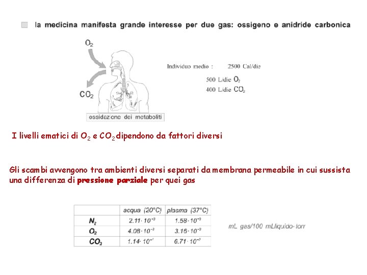 I livelli ematici di O 2 e CO 2 dipendono da fattori diversi Gli