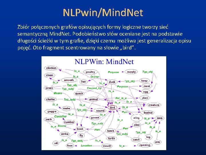 NLPwin/Mind. Net Zbiór połączonych grafów opisujących formy logiczne tworzy sieć semantyczną Mind. Net. Podobieństwo