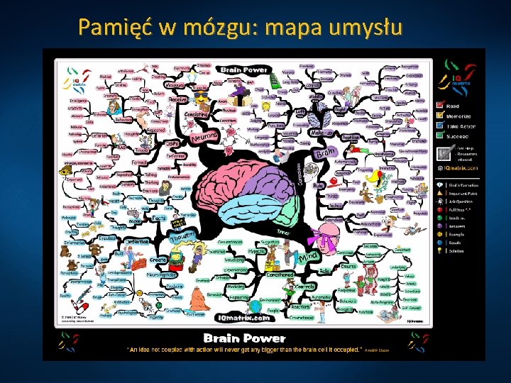 Pamięć w mózgu: mapa umysłu 