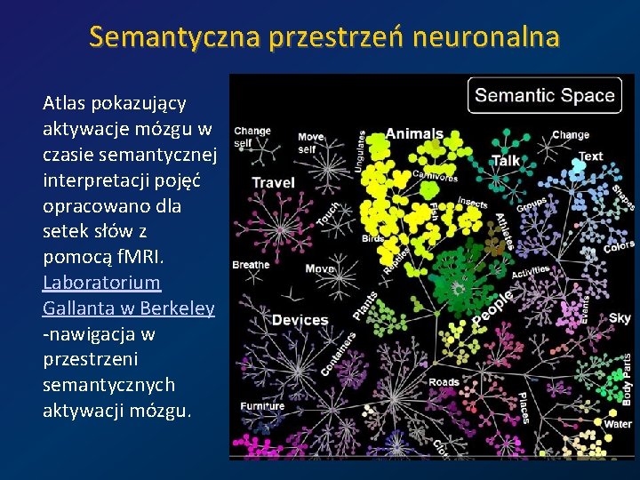 Semantyczna przestrzeń neuronalna Atlas pokazujący aktywacje mózgu w czasie semantycznej interpretacji pojęć opracowano dla