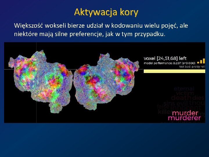 Aktywacja kory Większość wokseli bierze udział w kodowaniu wielu pojęć, ale niektóre mają silne