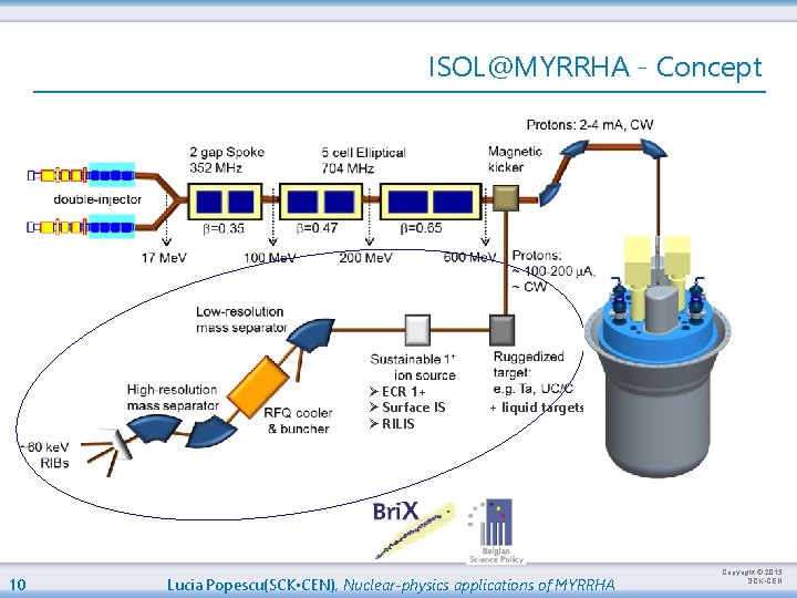 ISOL@MYRRHA - Concept Ø ECR 1+ Ø Surface IS Ø RILIS 10 + liquid