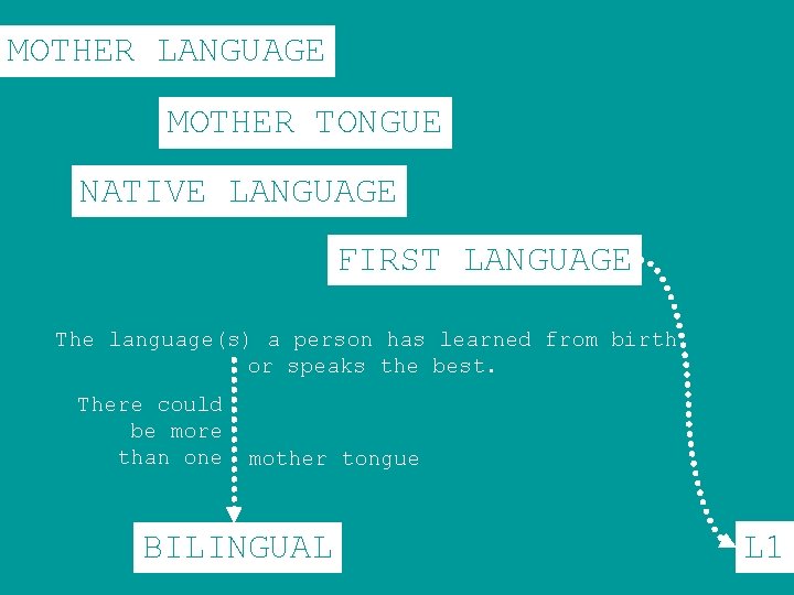 MOTHER LANGUAGE MOTHER TONGUE NATIVE LANGUAGE FIRST LANGUAGE The language(s) a person has learned