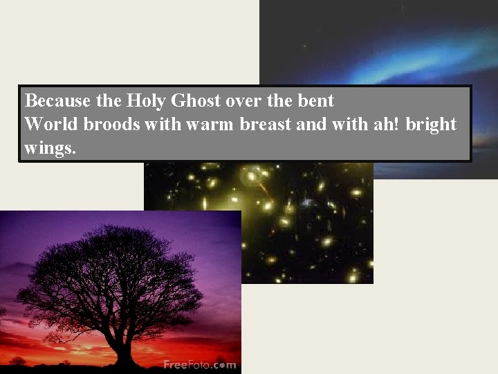 Because the Holy Ghost over the bent World broods with warm breast and with
