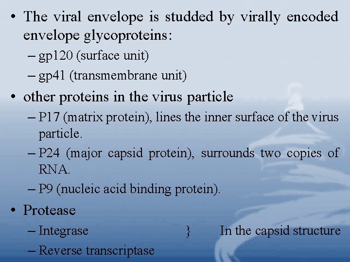  • The viral envelope is studded by virally encoded envelope glycoproteins: – gp