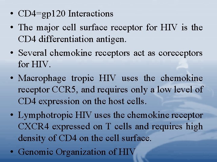  • CD 4=gp 120 Interactions • The major cell surface receptor for HIV