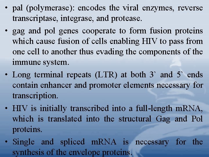  • pal (polymerase): encodes the viral enzymes, reverse transcriptase, integrase, and protease. •